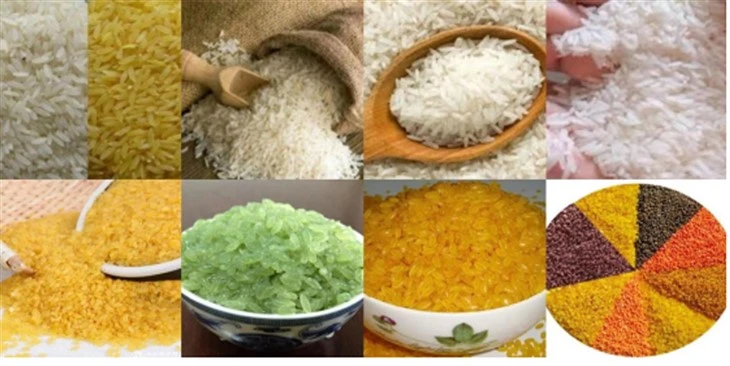 مصنوعی Konjac چاول Extruder مشین